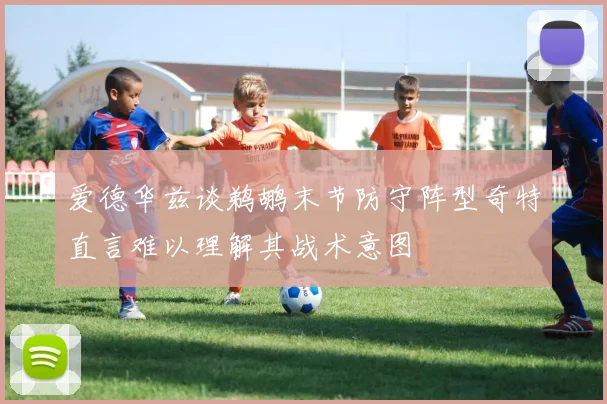 爱德华兹谈鹈鹕末节防守阵型奇特直言难以理解其战术意图
