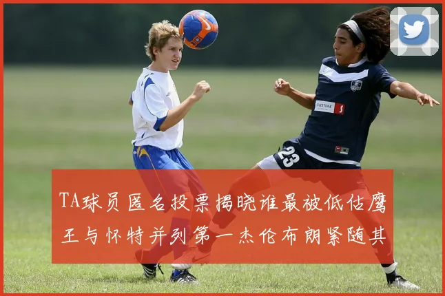 TA球员匿名投票揭晓谁最被低估鹰王与怀特并列第一杰伦布朗紧随其后